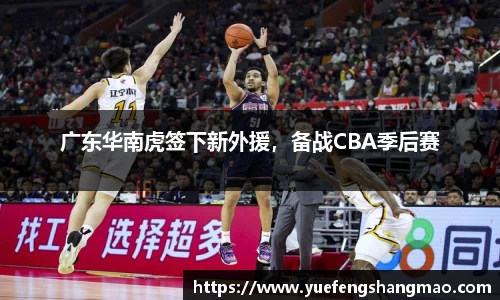 完美体育登录入口